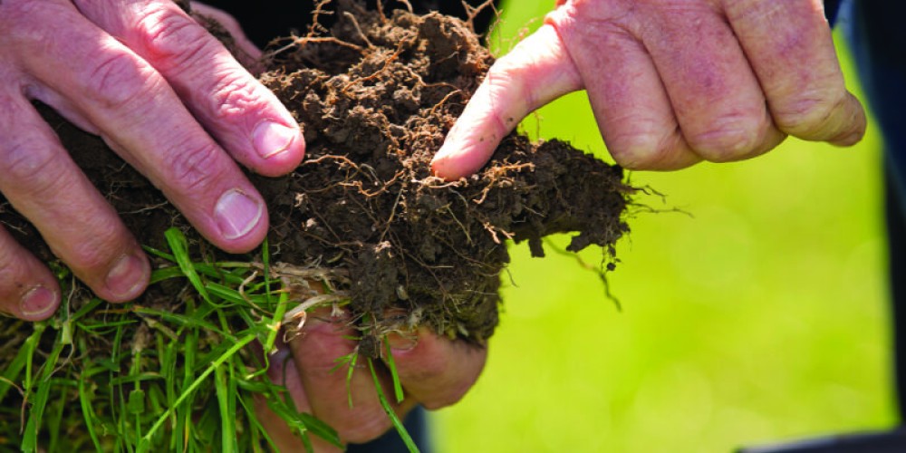 Don’t dismiss soil’s carbon offset role 