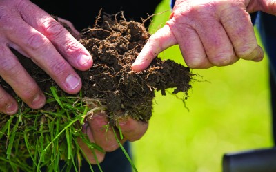 Don’t dismiss soil’s carbon offset role 