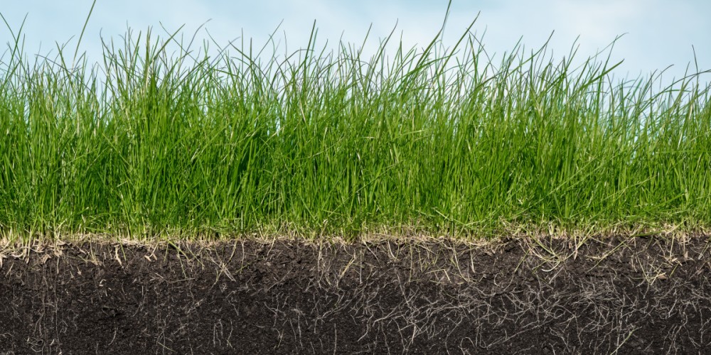 Regenfarming.news