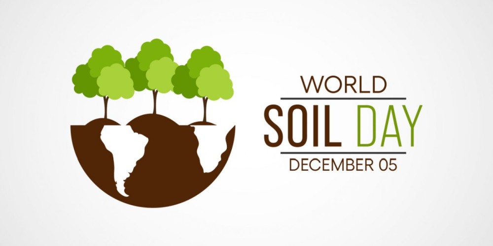 Reflecting on Regenerative Agriculture on World Soil Day Reflecting on Regenerative Agriculture on World Soil Day